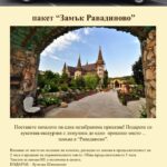 Парти в лимузина (10)