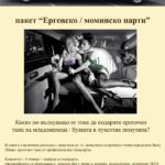 Парти в лимузина (16)