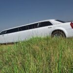 Парти в лимузина (5)